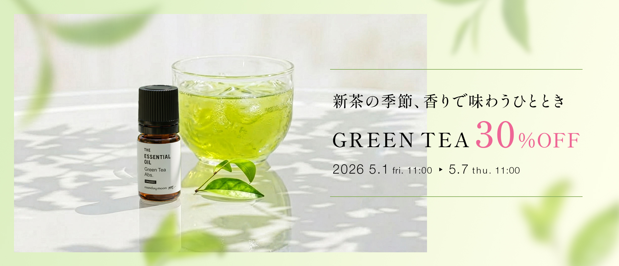 グリーンティー・アブソリュート・オーガニック30%OFFセール
