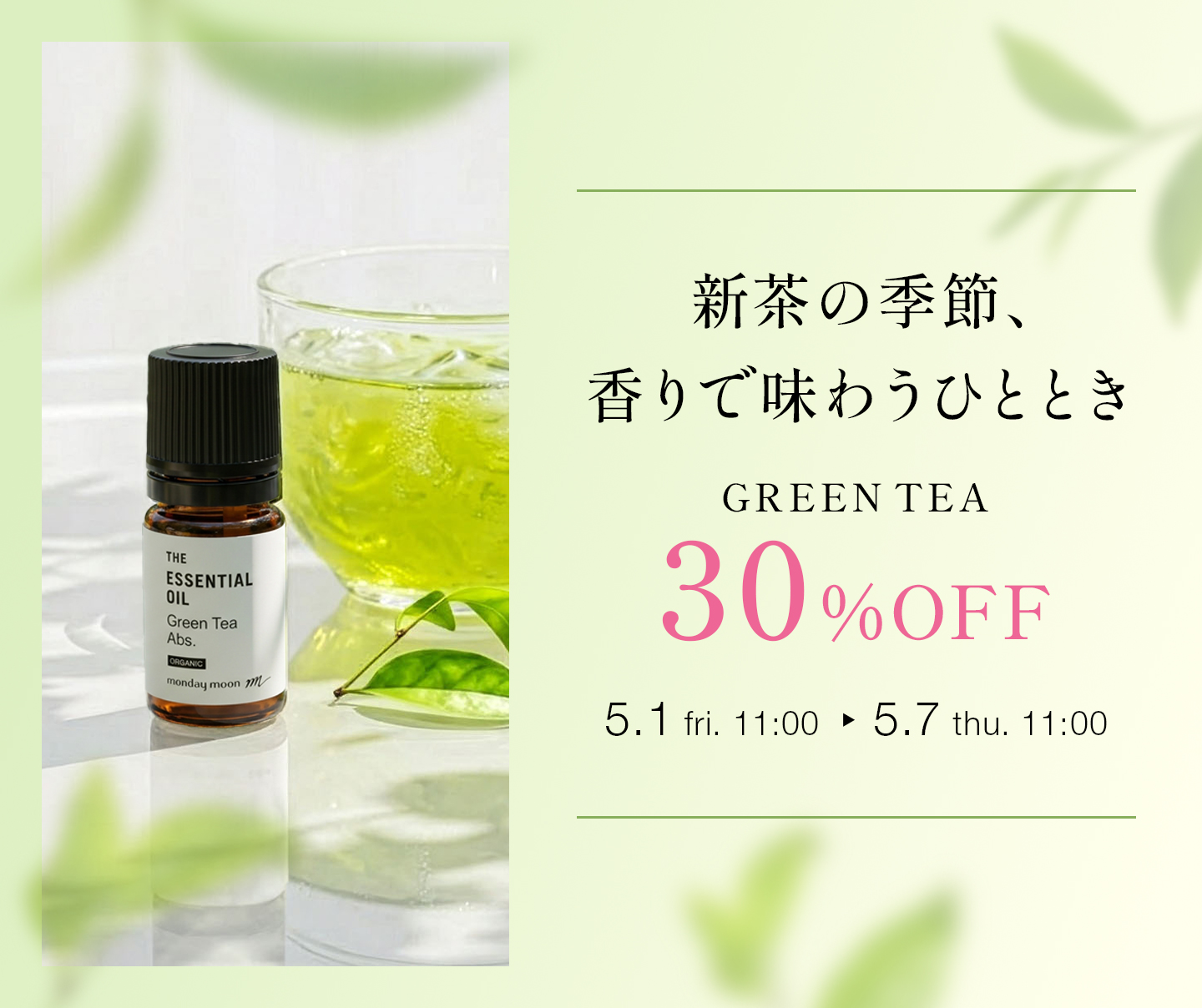 グリーンティー・アブソリュート・オーガニック30%OFFセール