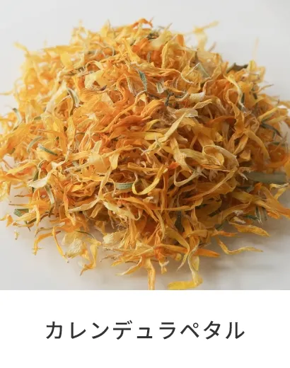 カレンデュラペタル