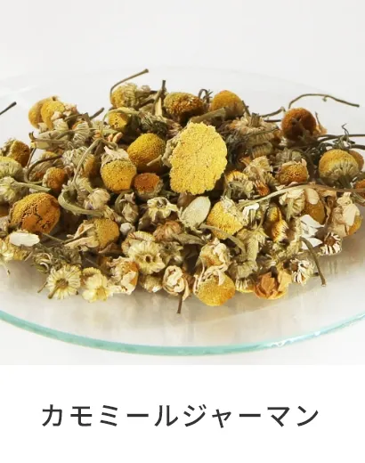 カモミールジャーマン