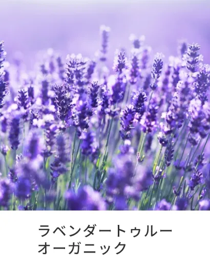 ラベンダートゥルーオーガニック