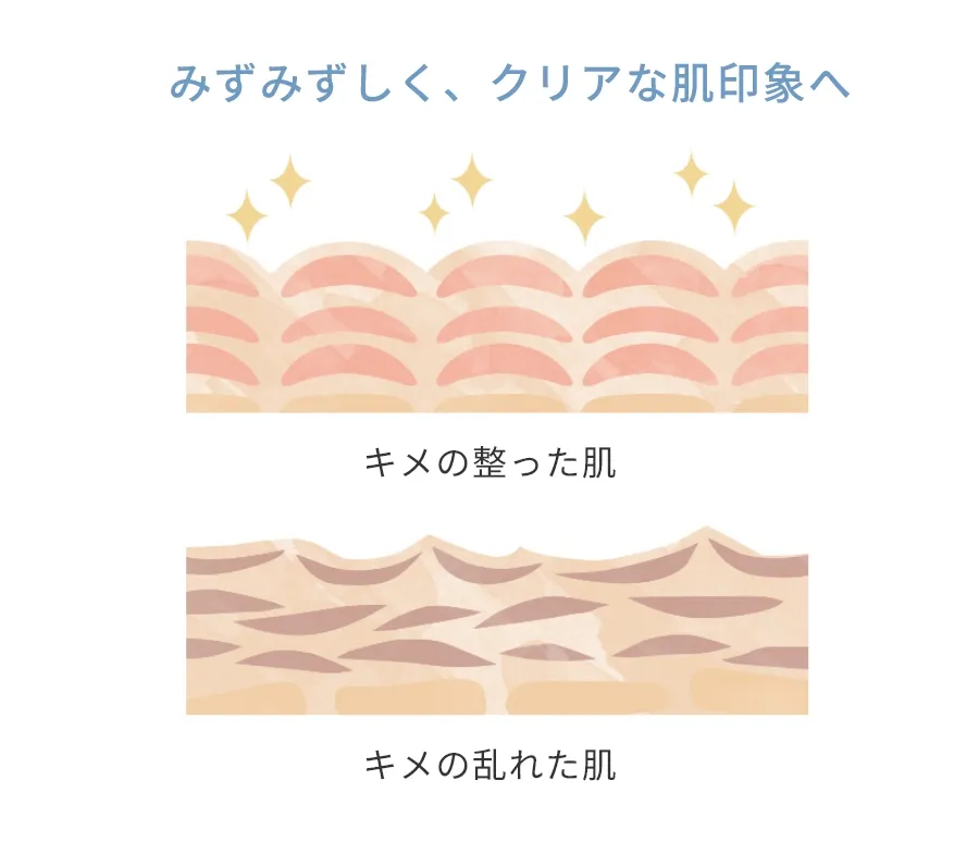 ダミー グラフ