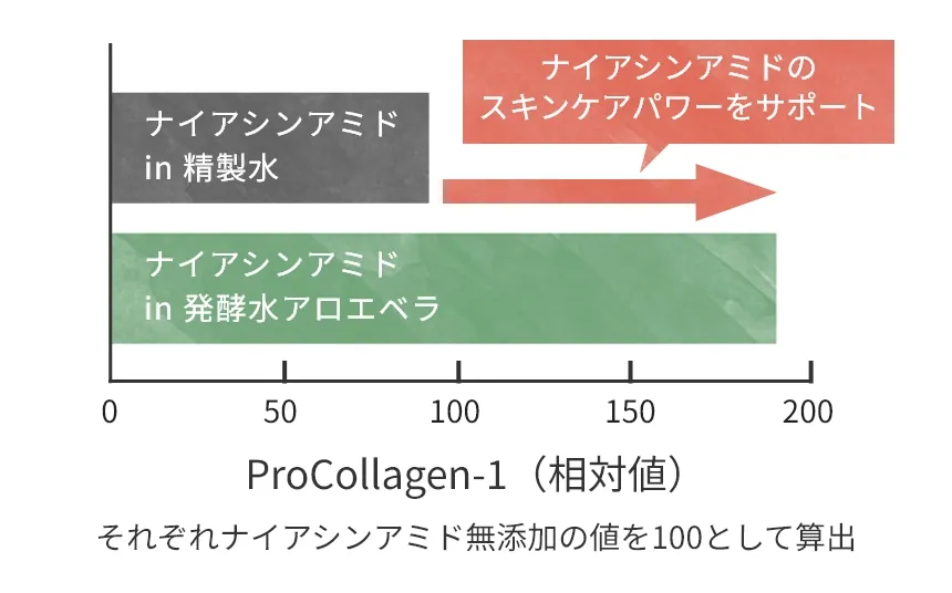 ブルガリアの蒸留所から直接輸入
