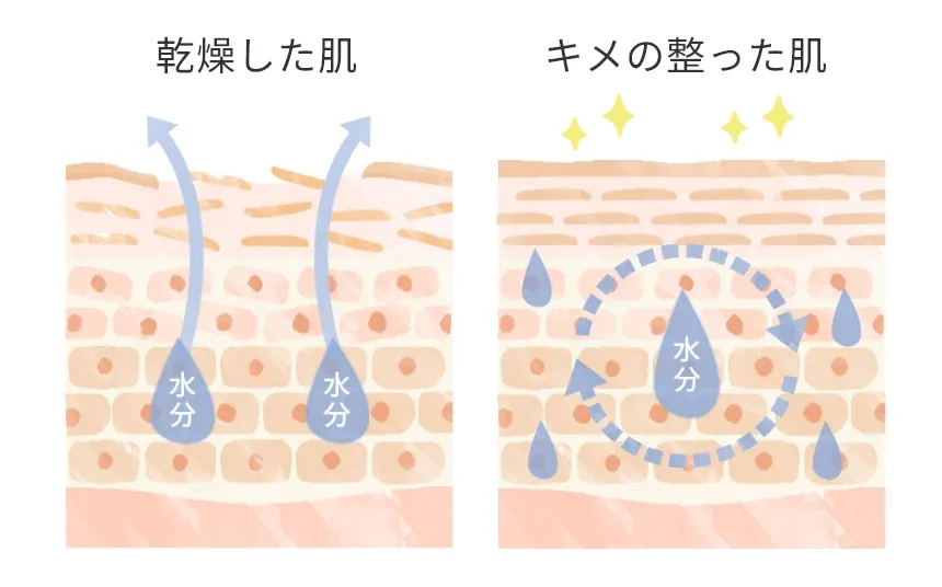 しわ、たるみをケア