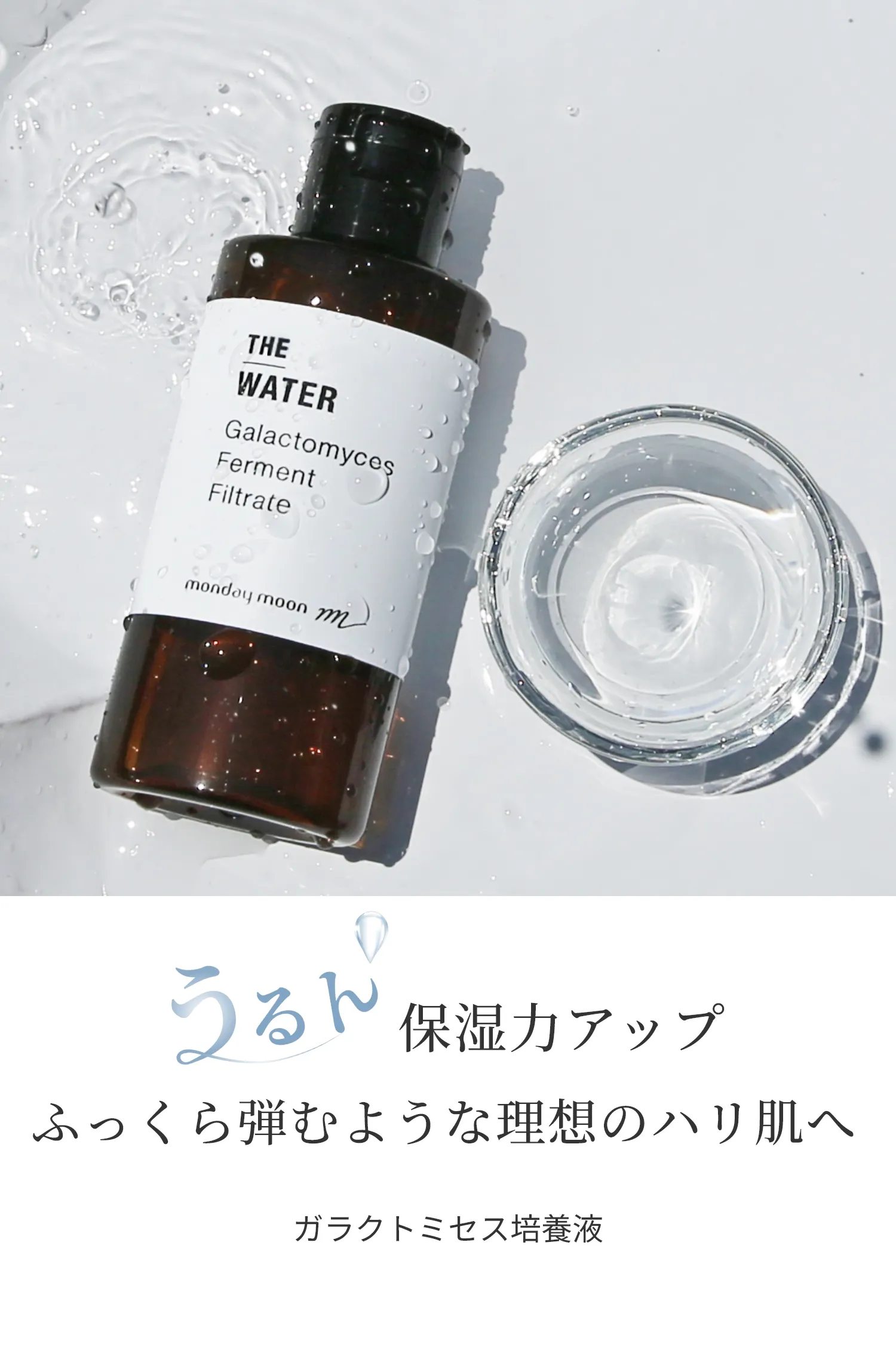 ガラクトミセス培養液／1000ml | マンデイムーン