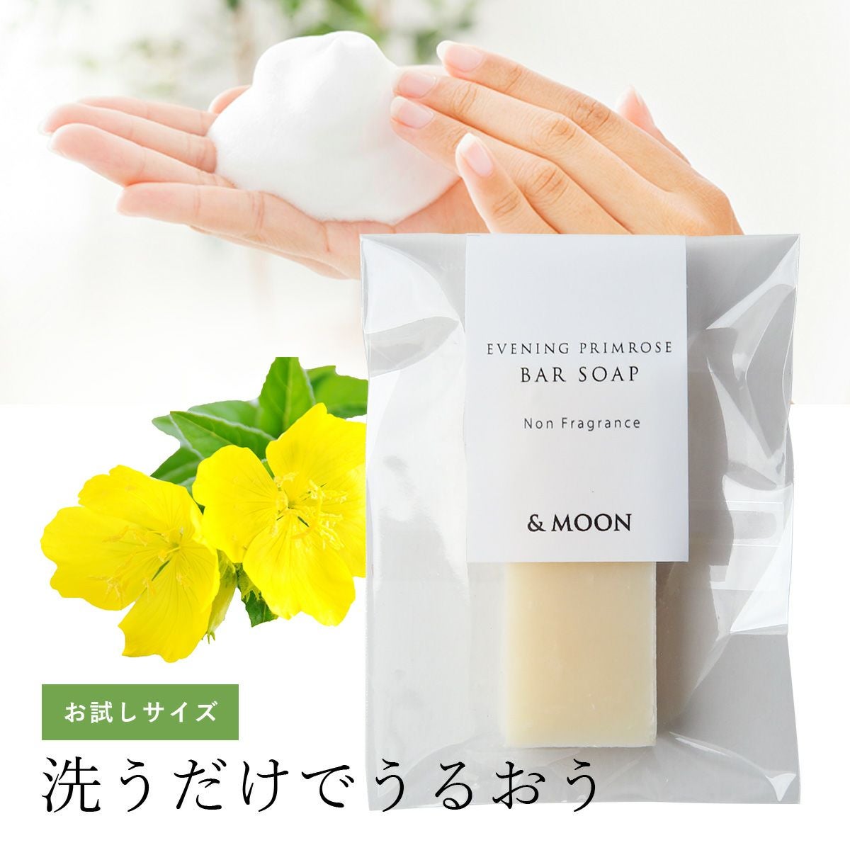 トライアル | マンデイムーン