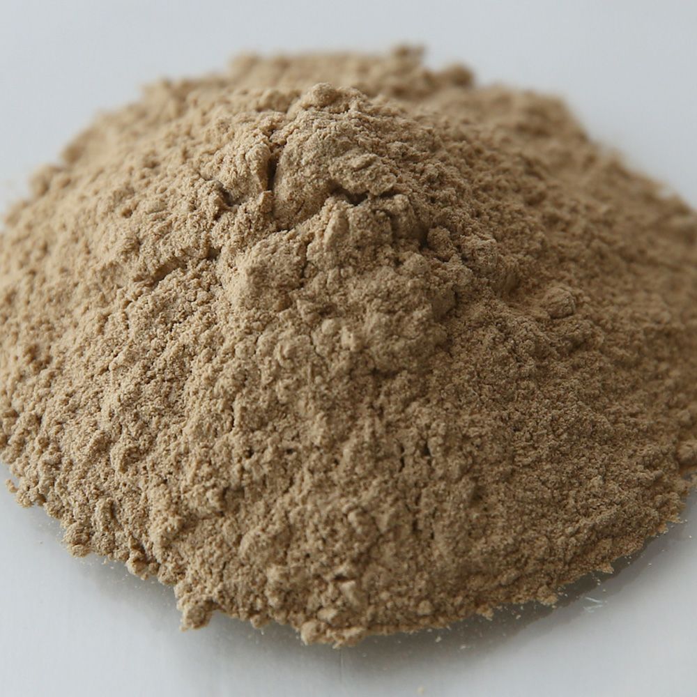 アムラ アムラパウダー・オーガニック 100g