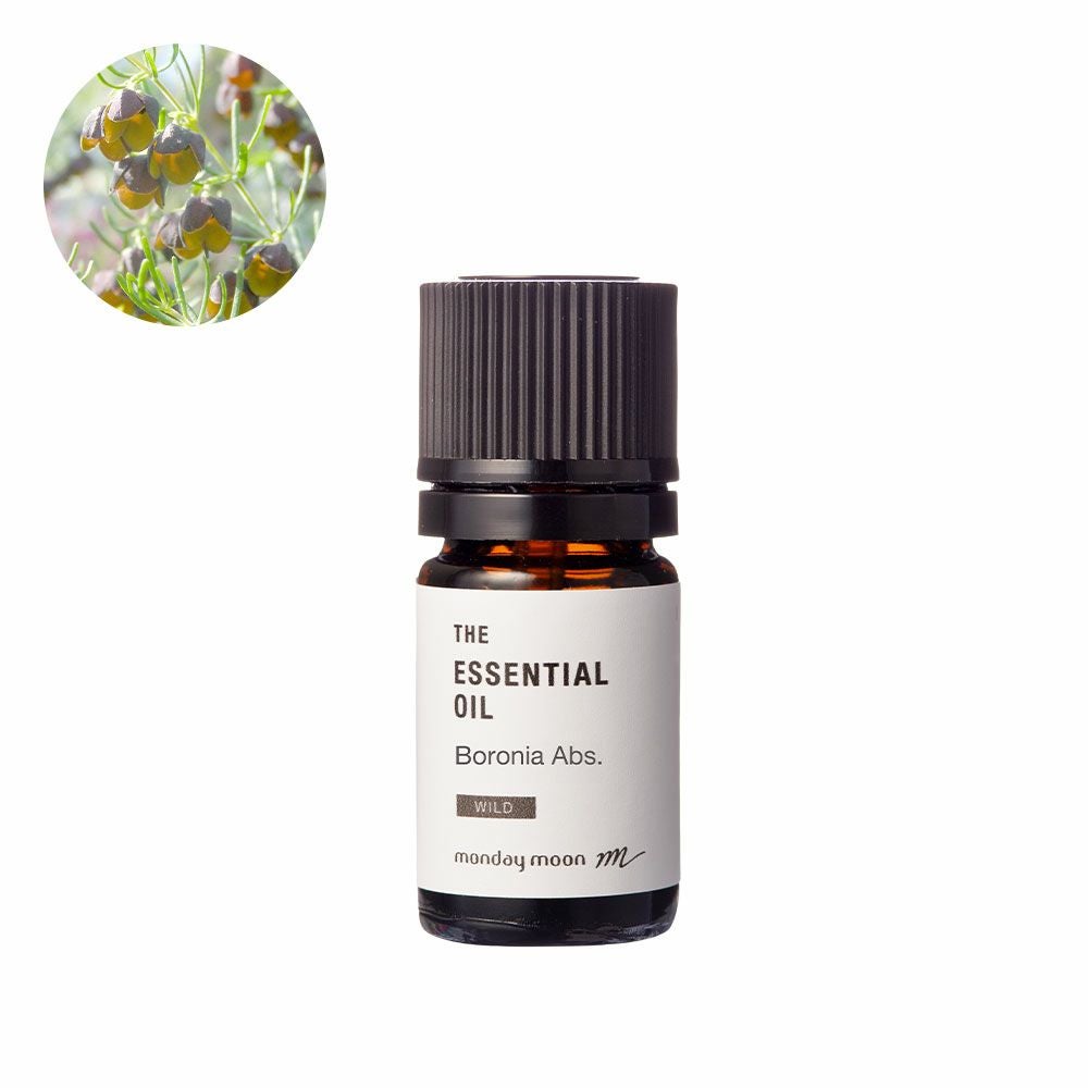 リンデンブロッサム・アブソリュート／2ml | マンデイムーン