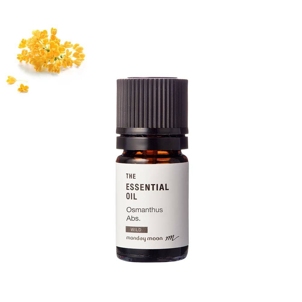 今だけP10倍】タバコ・アブソリュート20％エタノール／5ml | マンデイ