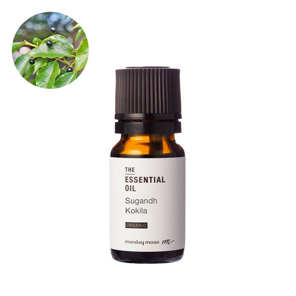 なぎさと様　プラナロム ブラックスプルース他　合計6点　精油 DaisyPlanet / PRANAROM ブラックスプルース 10ml