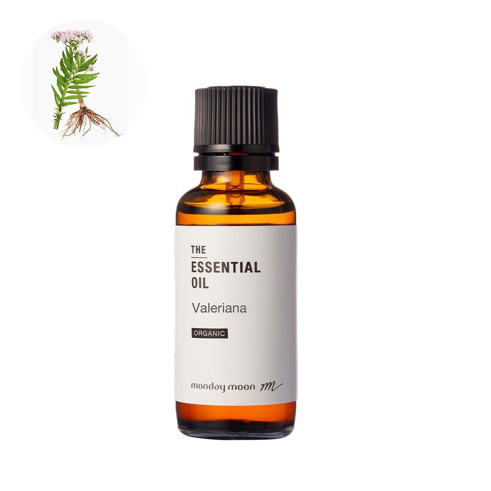 今だけP10倍】カメリアブロッサム・アブソリュート・オーガニック