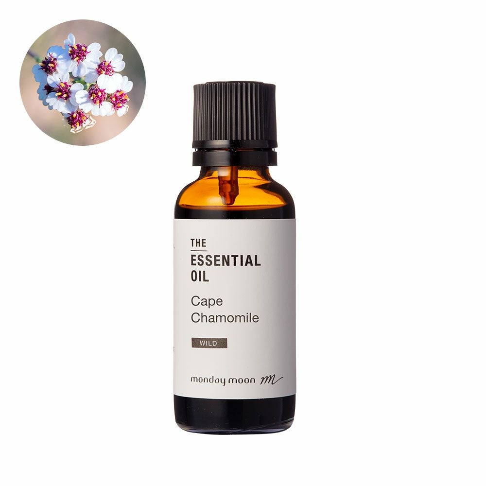 ケープカモミール・エッセンシャルオイル・野生種／30ml | マンデイムーン