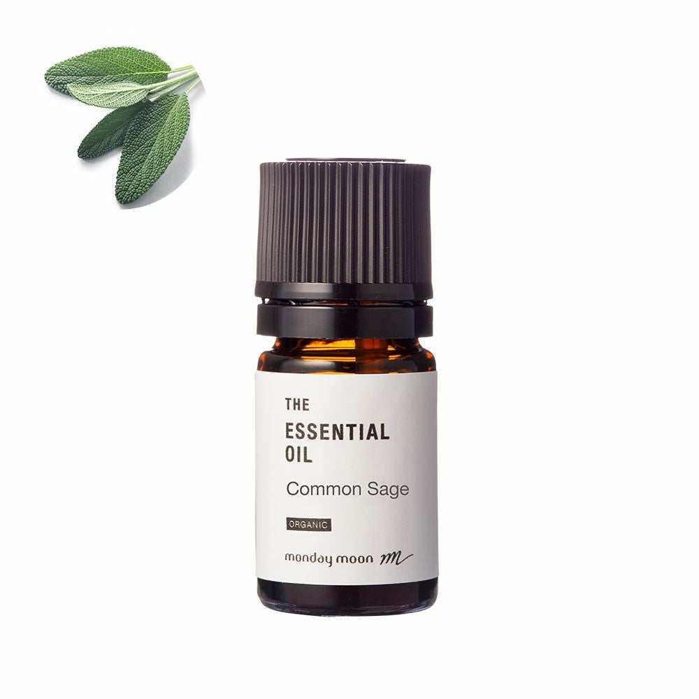 ベンゾイン・アブソリュート／10ml | マンデイムーン