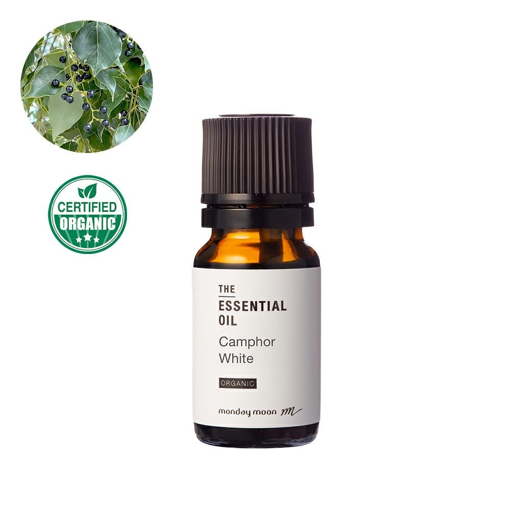 今だけP10倍】ホワイトジンジャーリリー・アブソリュート・野生種／2ml