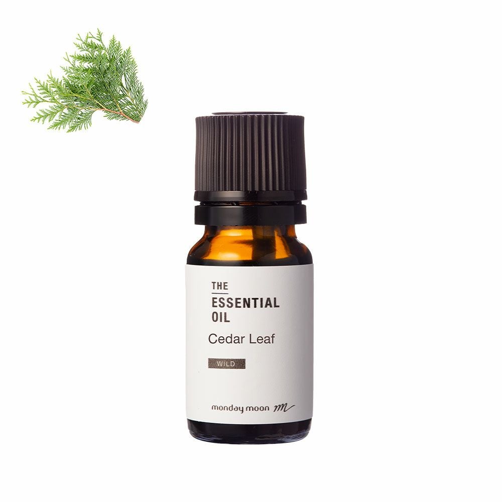 今だけP10倍】ガルバナム・エッセンシャルオイル・野生種／5ml