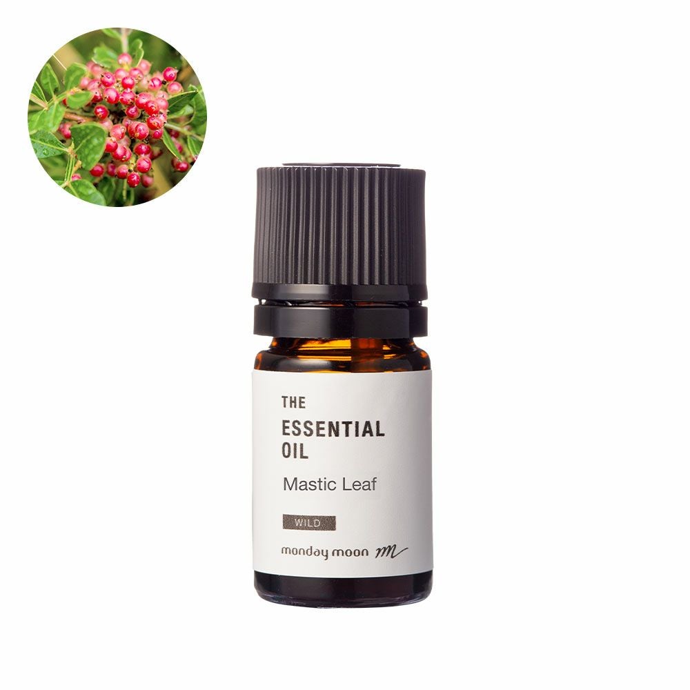 今だけP10倍】マスティックリーフ・エッセンシャルオイル・野生種／5ml