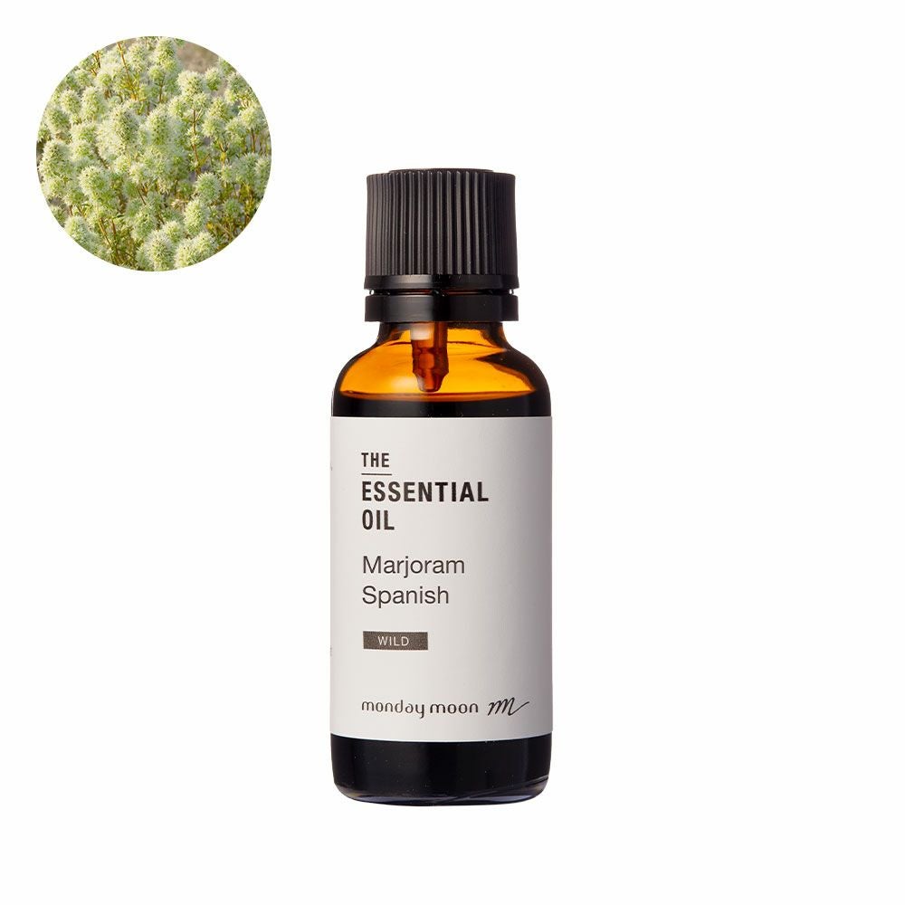 000000016167-01.jpg?size=m&w=