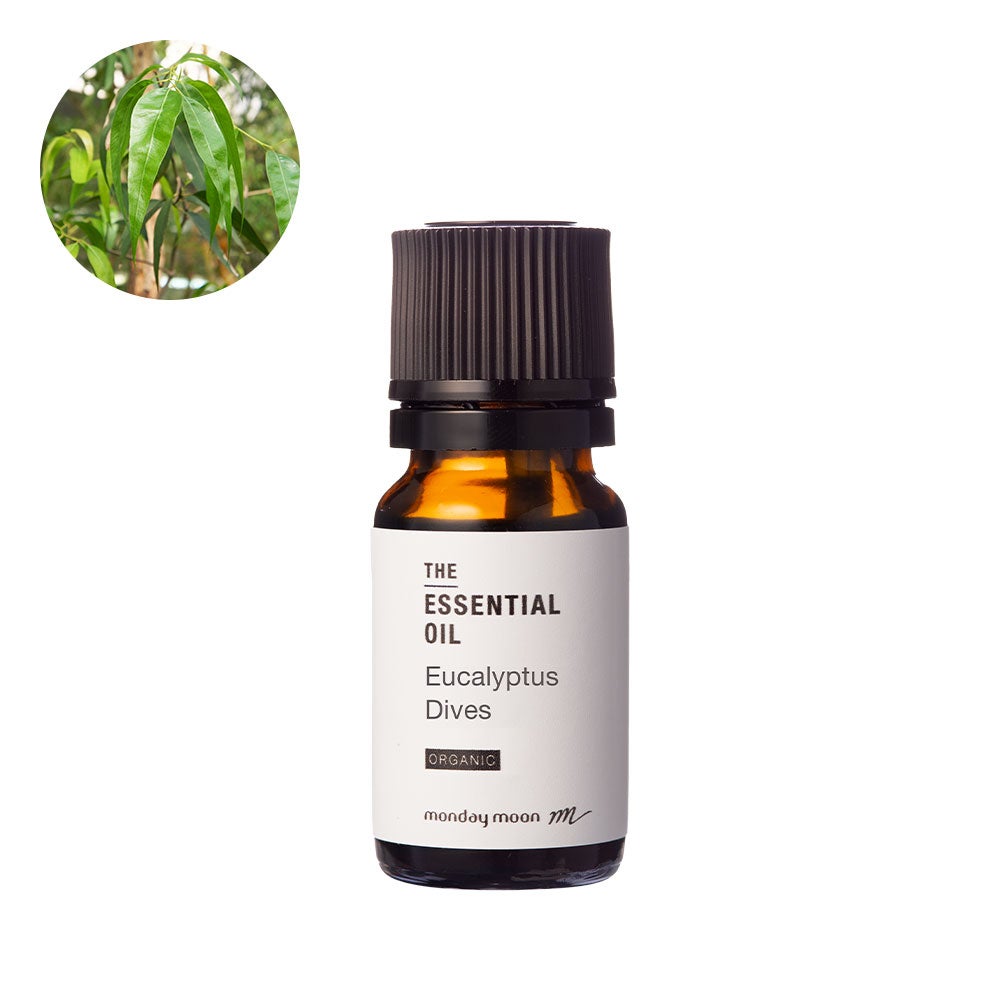 000000016215-01.jpg?size=l&w=