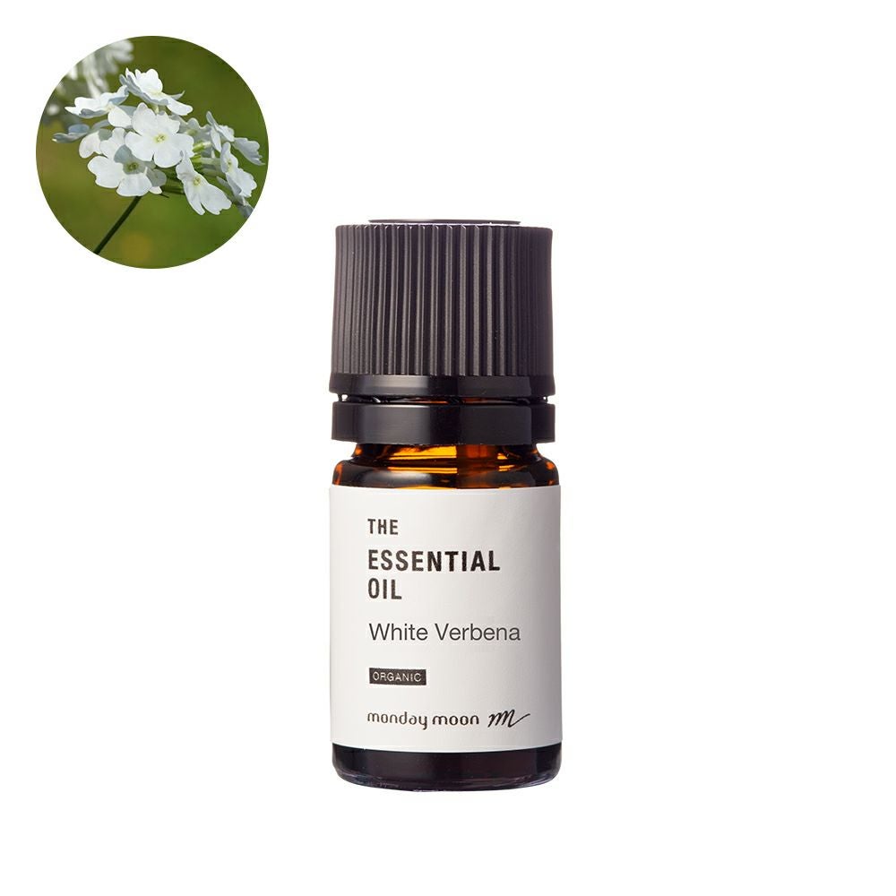 今だけP10倍】イモーテル・エッセンシャルオイル・野生種(ヘリクリサム