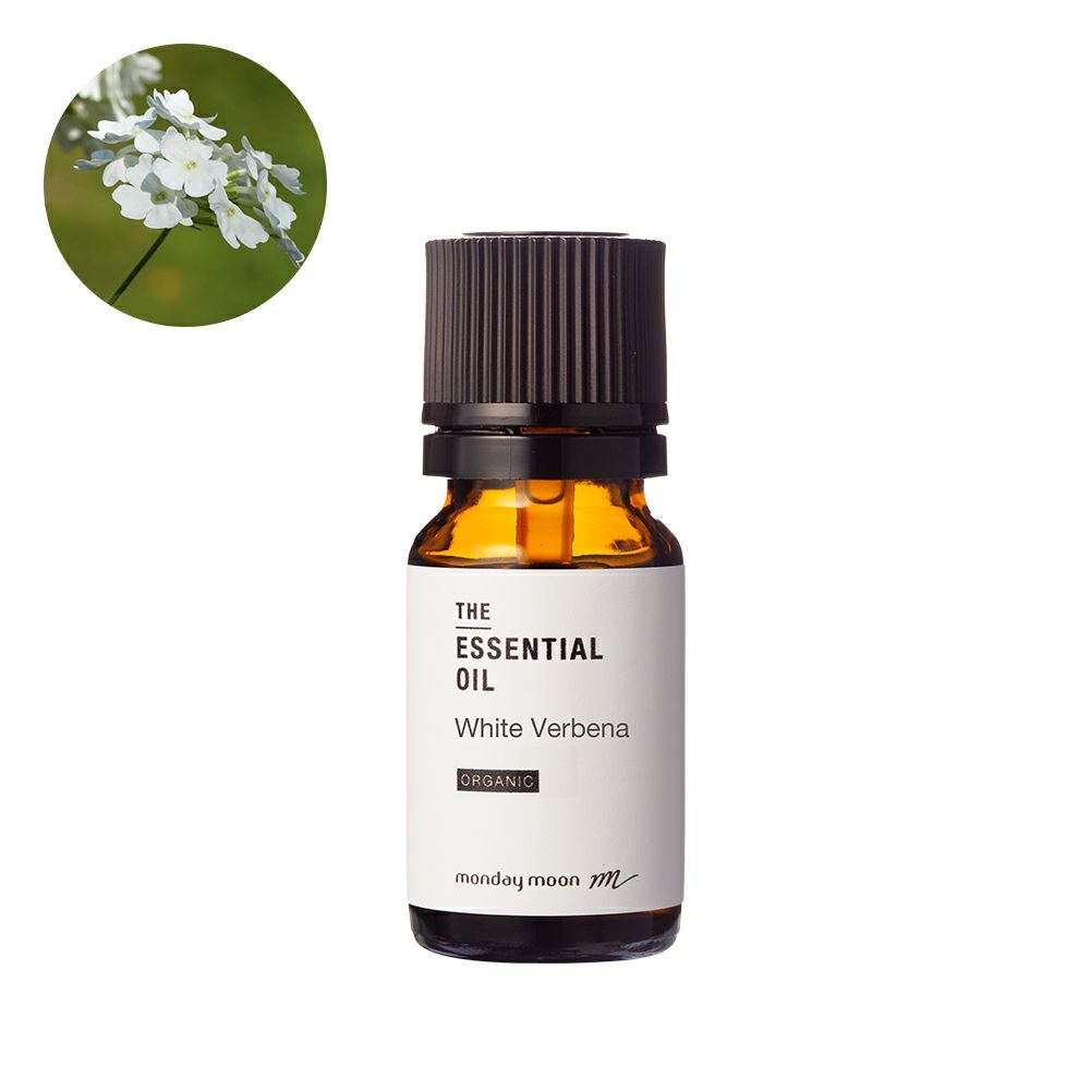 今だけP10倍】ブルータンジー・エッセンシャルオイル・野生種／10ml