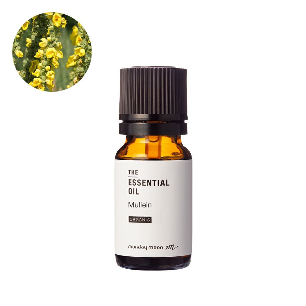 カメリアブロッサム・アブソリュート・オーガニック／10ml（有機栽培