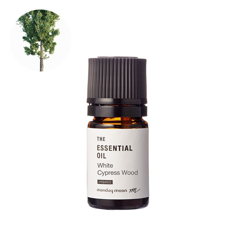 今だけP10倍】メロナール・アイソレート（天然単離香料）／2ml